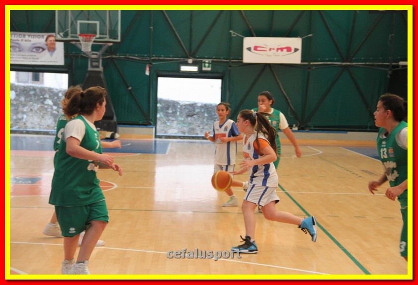 140301 GM_basket 165_tn.jpg